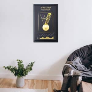 Cadre médaille Albertville - La Plagne 2025